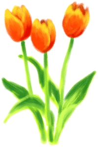 チューリップのイラスト