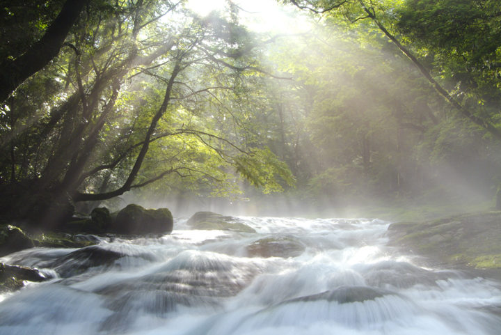 木々の間から川面にさす光